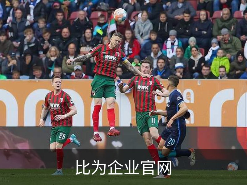 关于比为企业官网