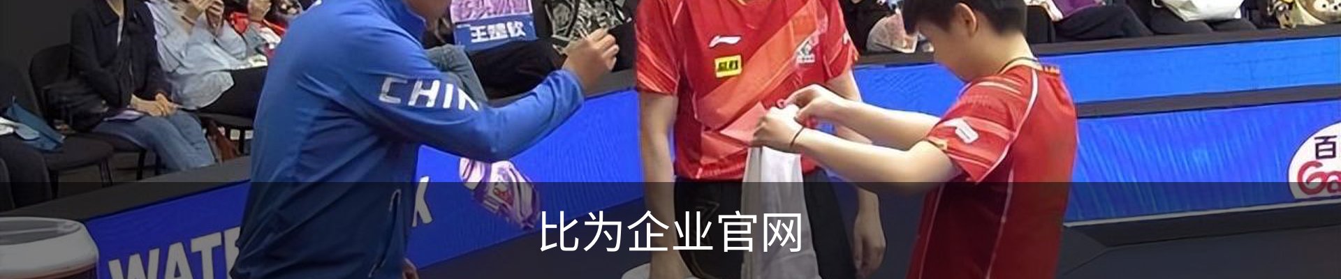 比为企业官网 - 国际互动娱乐科技资质公示